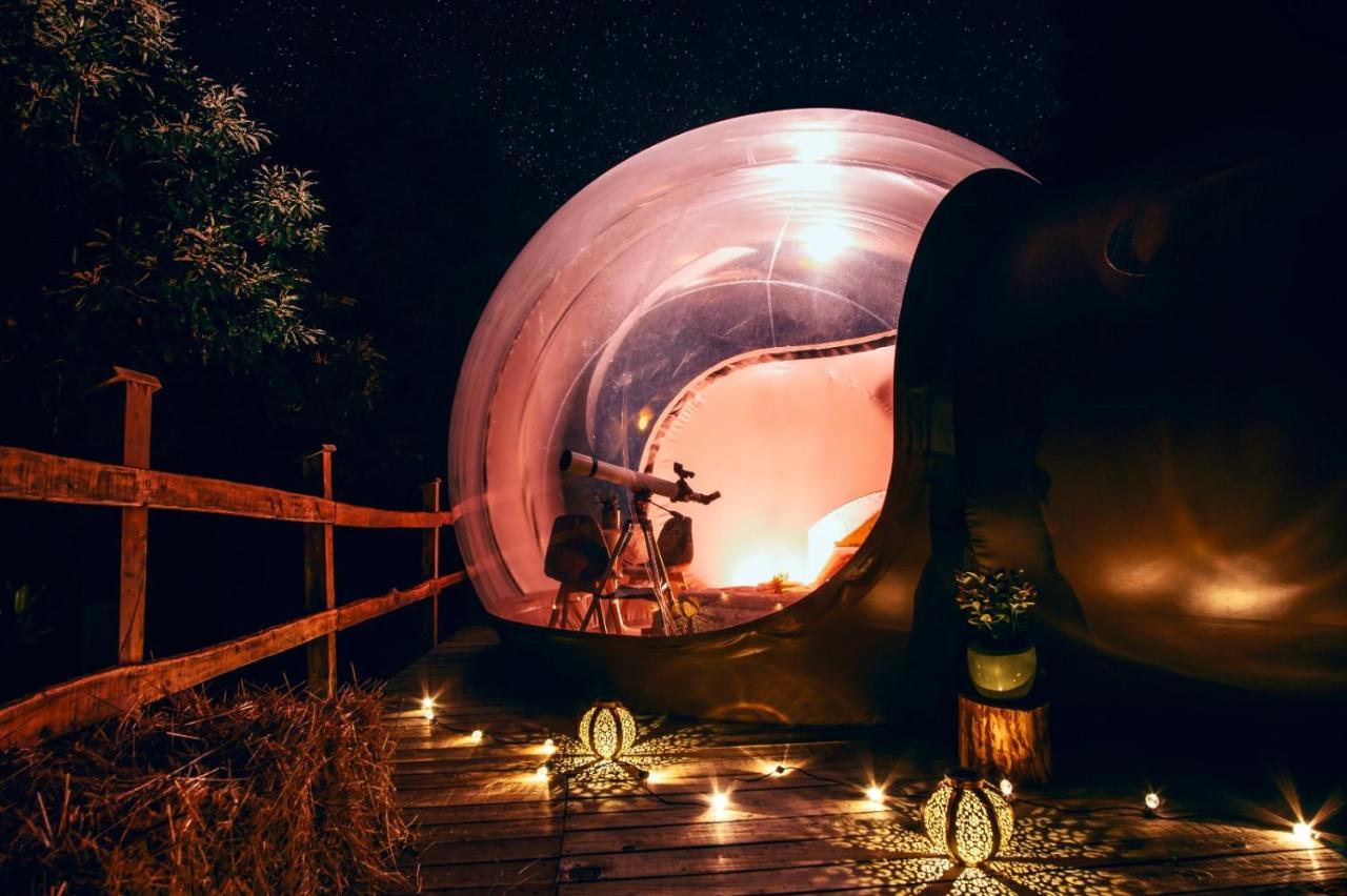 Maso La Marianna Bubble Glamping In Trentino Bed and Breakfast Sant'Orsola Exteriör bild